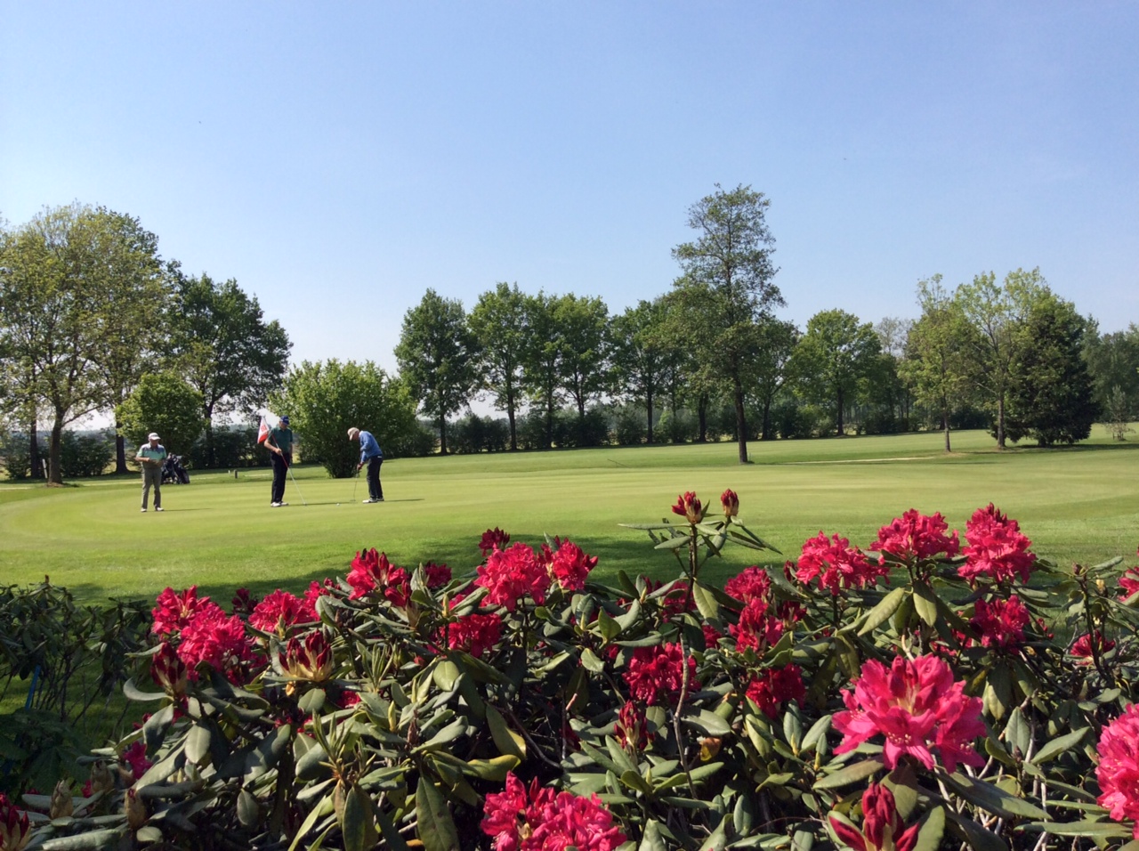 [Golfbaan De Schoot]